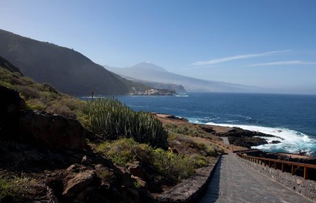 Nordküste von Rojas (El Sauzal)